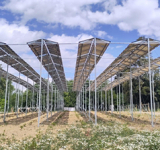 Photovoltaik als Schutz für junge Bäume