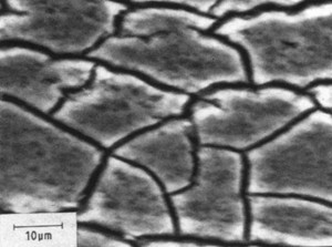 Fig. 2.1: Scanning Electron Micrographs of galvanic black anodic film on Mg-Li alloy [10]