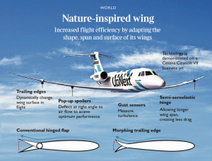 Abb. 5: „Intelligente“ Flugzeugtragflächen